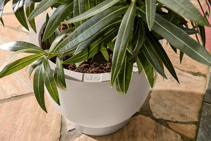 amber coupe 41cm linnen wit